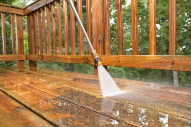 Best Affordable Power Washing  in Bicknell, IN