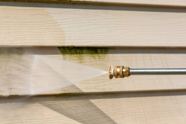 Best Power Washing Near Me  in Bicknell, IN